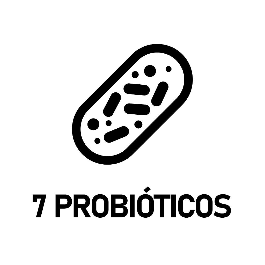 Icono 3